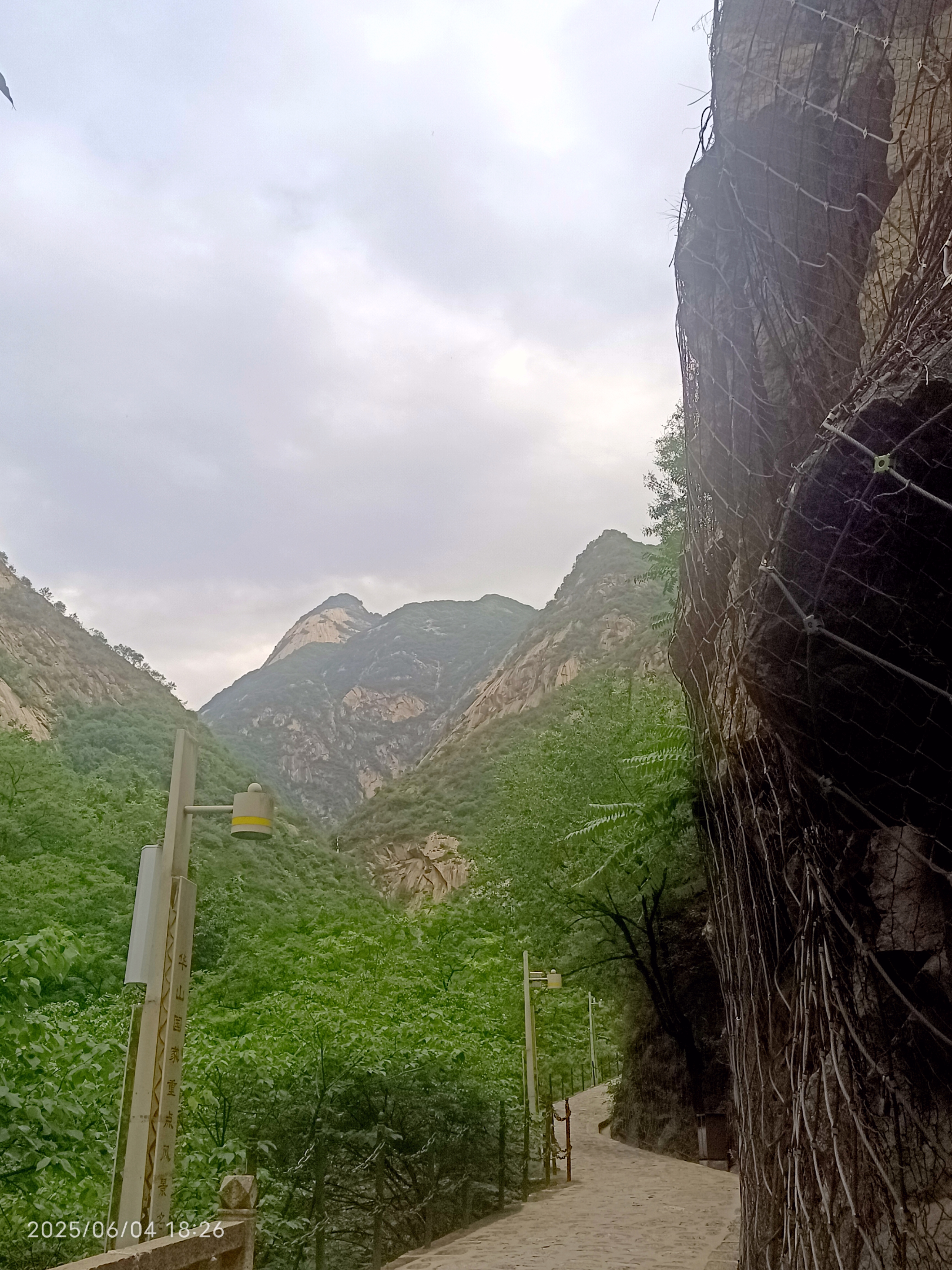 看这深山老林中