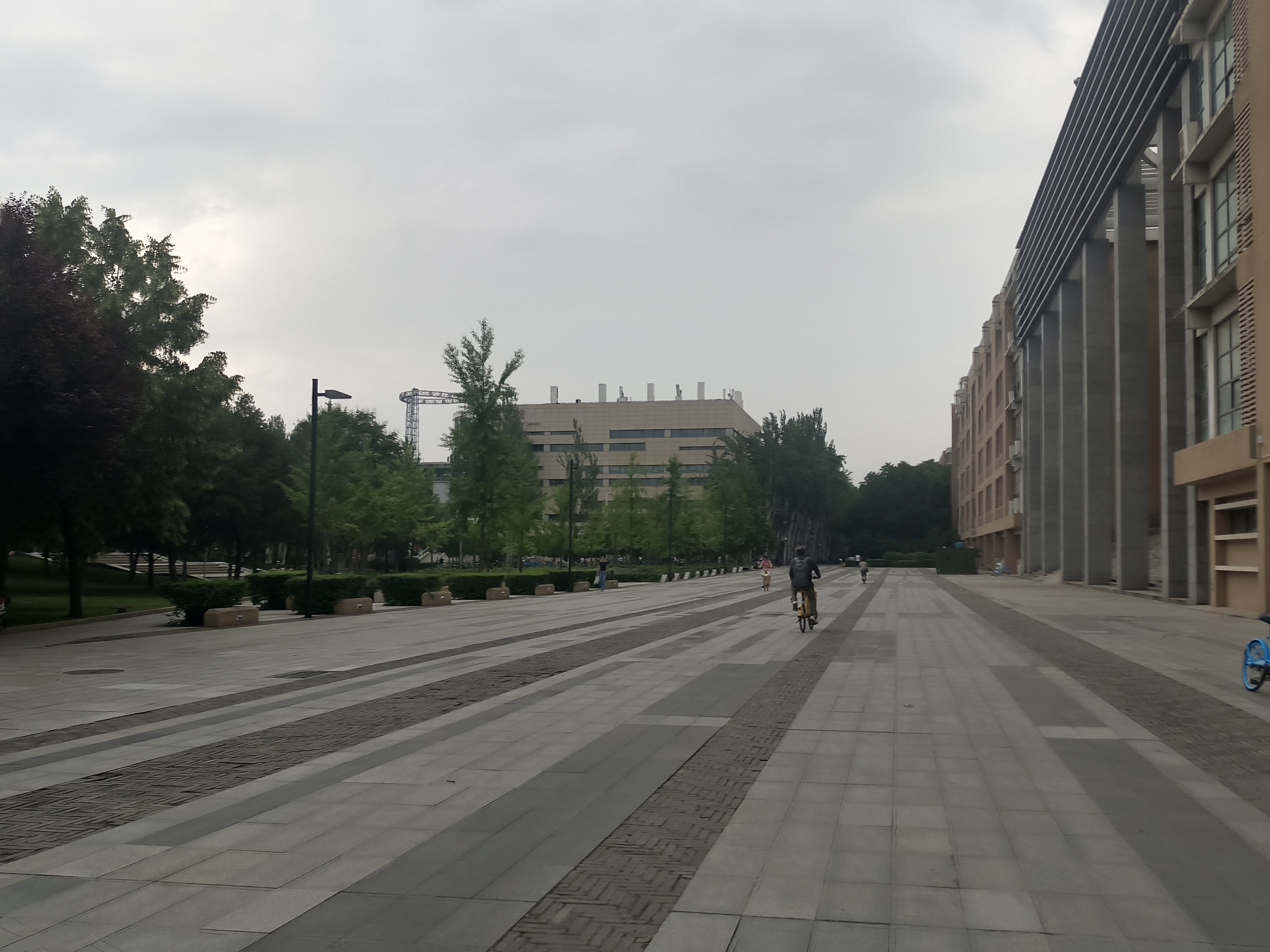 那边的图书馆