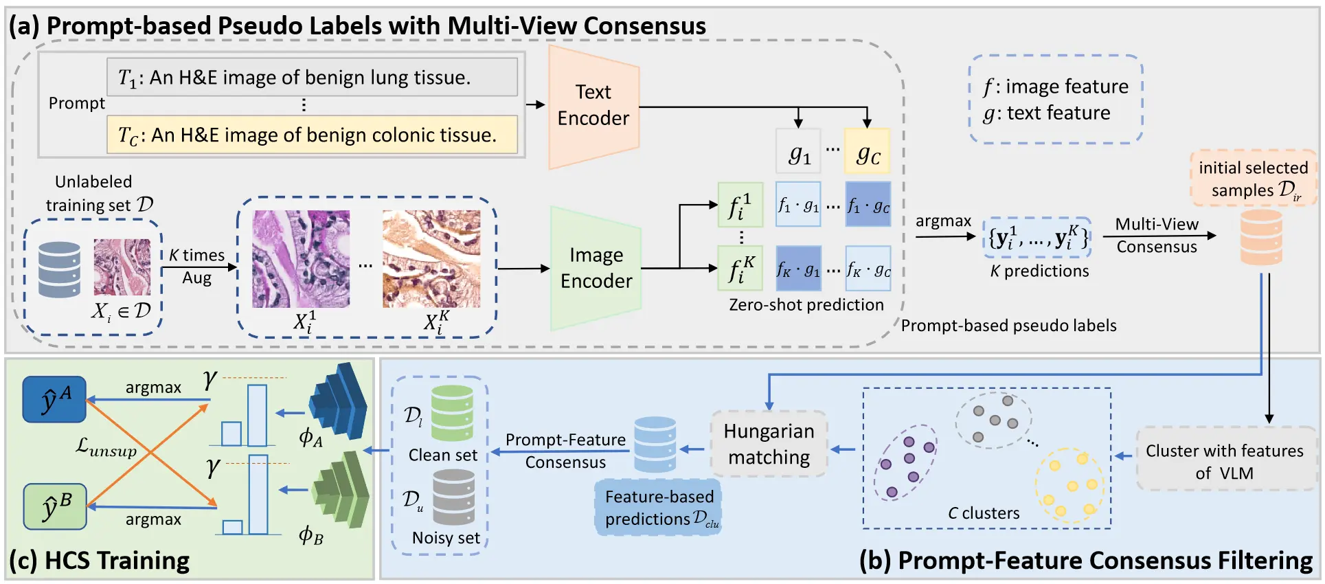 VLM-CPL Framework